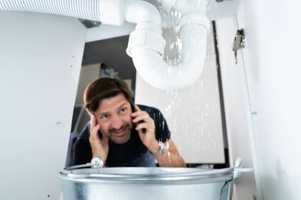 Best Plumbing Services Near Me  in East Bronson, FL